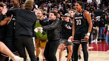 South Carolina basketball freshman Collin Murray-Boyles celebrating with fans after beating Kentucky earlier this season.