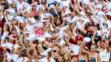 South Carolina football fans during the last home game at Williams-Brice Stadium