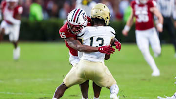 Nov 23, 2024; Columbia, South Carolina, USA; South Carolina Gamecocks linebacker Fred Johnson (15) tackles Wofford Terriers punt returner Cam Smith (13) in the second quarter at Williams-Brice Stadium. Mandatory Credit: Jeff Blake-Imagn Images