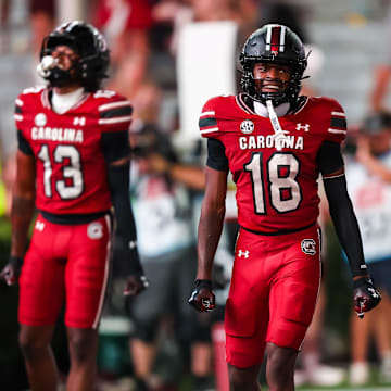 Sep 6, 2025; Columbia, South Carolina, USA; South Carolina Gamecocks wide receiver Brian Rowe Jr. (18) celebrates a teammate’s touchdown against the South Carolina State Bulldogs in the second half at Williams-Brice Stadium. Mandatory Credit: Jeff Blake-Imagn Images