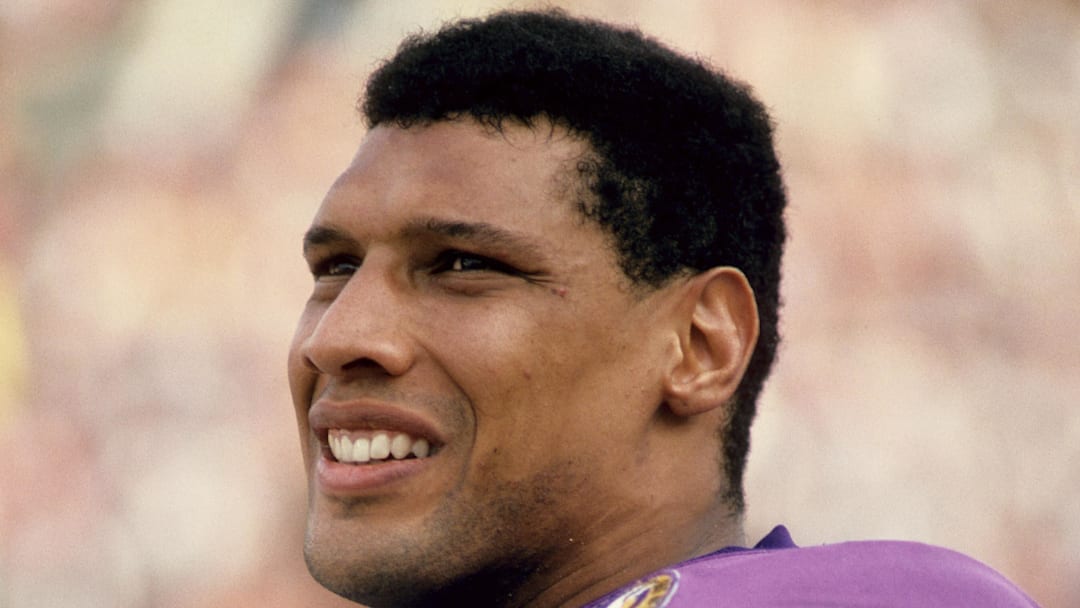 Minnesota Vikings defensive back Joey Browner