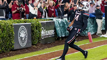 Nov 16, 2024; Columbia, South Carolina, USA; South Carolina Gamecocks wide receiver Jared Brown (14) celebrates a touchdown against the Missouri Tigers in the second half at Williams-Brice Stadium. Mandatory Credit: Jeff Blake-Imagn Images
