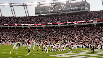 Nov 23, 2024; Columbia, South Carolina, USA; The Wofford Terriers take on the South Carolina Gamecocks in the second half at Williams-Brice Stadium. Mandatory Credit: Jeff Blake-Imagn Images