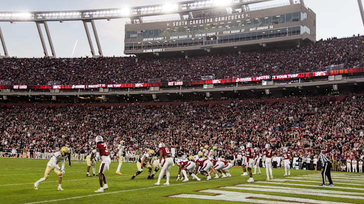 Nov 23, 2024; Columbia, South Carolina, USA; The Wofford Terriers take on the South Carolina Gamecocks in the second half at Williams-Brice Stadium. Mandatory Credit: Jeff Blake-Imagn Images