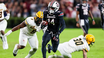 Nov 16, 2024; Columbia, South Carolina, USA; South Carolina Gamecocks wide receiver Jared Brown (14) makes a 38-yard reception against the Missouri Tigers in the second quarter at Williams-Brice Stadium. Mandatory Credit: Jeff Blake-Imagn Images