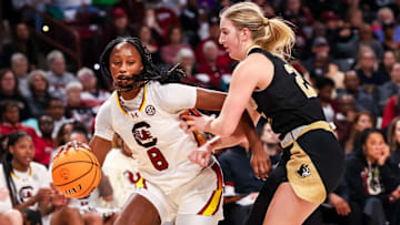 Dec 29, 2024; Columbia, South Carolina, USA; South Carolina Gamecocks forward Joyce Edwards (8) drives around Wofford Terriers forward Mia Flor (21) in the second half at Colonial Life Arena. Mandatory Credit: Jeff Blake-Imagn Images