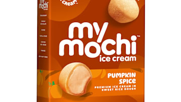 Pumpkin Spice My/Mochi