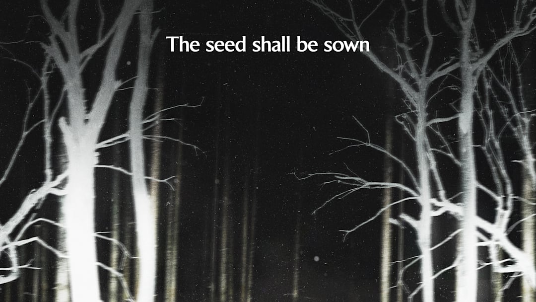 Shelby Oaks - Courtesy of Neon