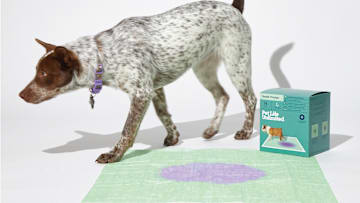 Pet Life Unlimited’s Health Tracker Dog Pads help dog parents monitor urinary health with ColorTrack Technology for early issue detection.