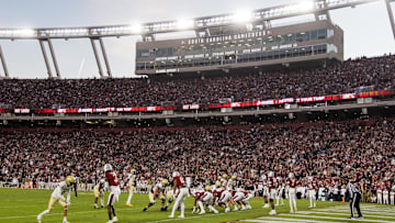 Nov 23, 2024; Columbia, South Carolina, USA; The Wofford Terriers take on the South Carolina Gamecocks in the second half at Williams-Brice Stadium. Mandatory Credit: Jeff Blake-Imagn Images
