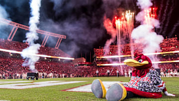 Nov 23, 2024; Columbia, South Carolina, USA; South Carolina Gamecocks mascot Cocky sits on the field between the third and fourth quarters of a game between the South Carolina Gamecocks and Wofford Terriers at Williams-Brice Stadium. Mandatory Credit: Jeff Blake-Imagn Images