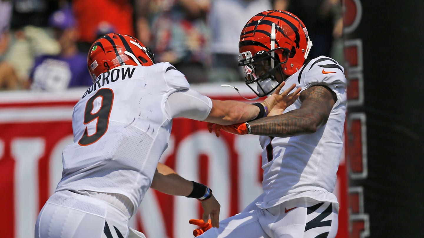 Look: NFL Analytics Expert Shares Positive Prediction for 2025 Bengals