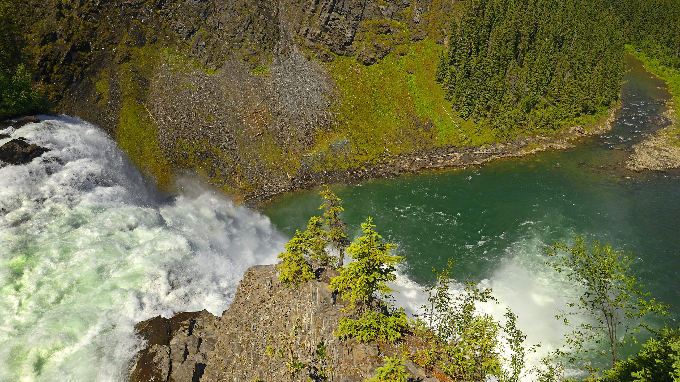 4 Places Where You Can Hike to Dinosaur Fossils in Tumbler Ridge UNESCO Geopark
