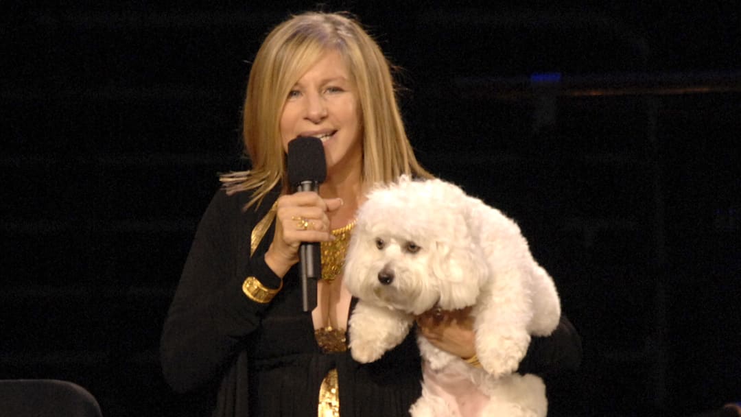 Barbra Streisand Tour Opener - October 4, 2006