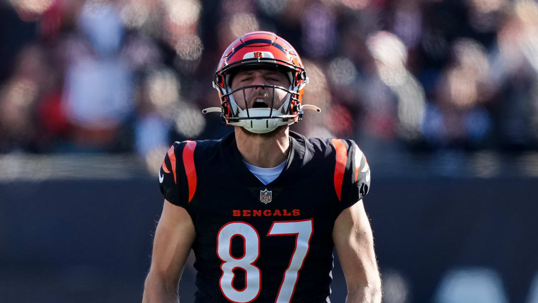 Houston Texans v Cincinnati Bengals