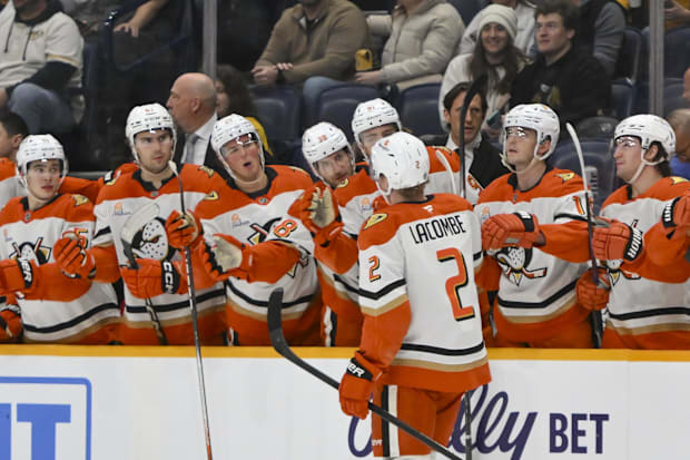 Hockey players celebrate a goal score