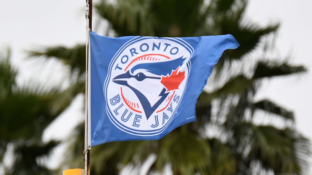 Toronto Blue Jays flag