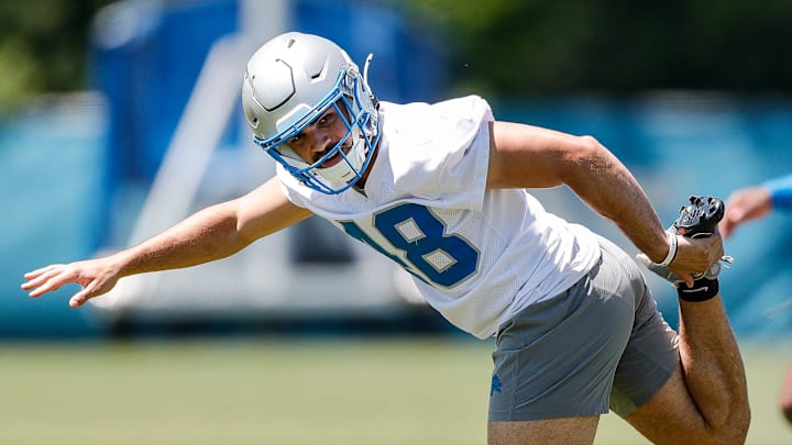 Detroit Lions safety Loren Strickland (48).