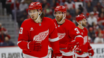 Feb 23, 2025; Detroit, Michigan, USA; Detroit Red Wings defenseman Moritz Seider (53) reacts during the first period of the game between the Detroit Red Wings and the Anaheim Ducks at Little Caesars Arena. Mandatory Credit: Brian Bradshaw Sevald-Imagn Images