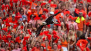 Jordan-Hare Stadium, home of the Auburn Tigers barely cracks ESPN's Top 20 