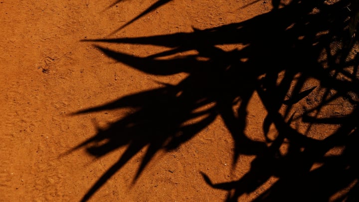 The shadows from the giant corn maze at Washington Farms in Bogart, Ga., on Wednesday, Sept. 29,