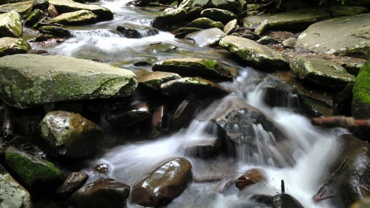 Water rushes down the stream on the Chimney Tops trail in the Great Smoky Mountains National Park on Thursday, June 13, 2024.