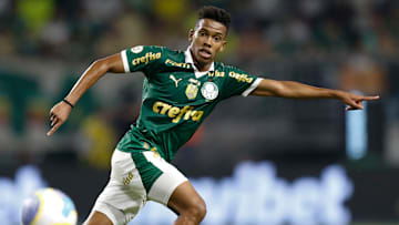 Palmeiras tem o mesmo número de vitórias do líder Botafogo e o melhor ataque do Brasileirão