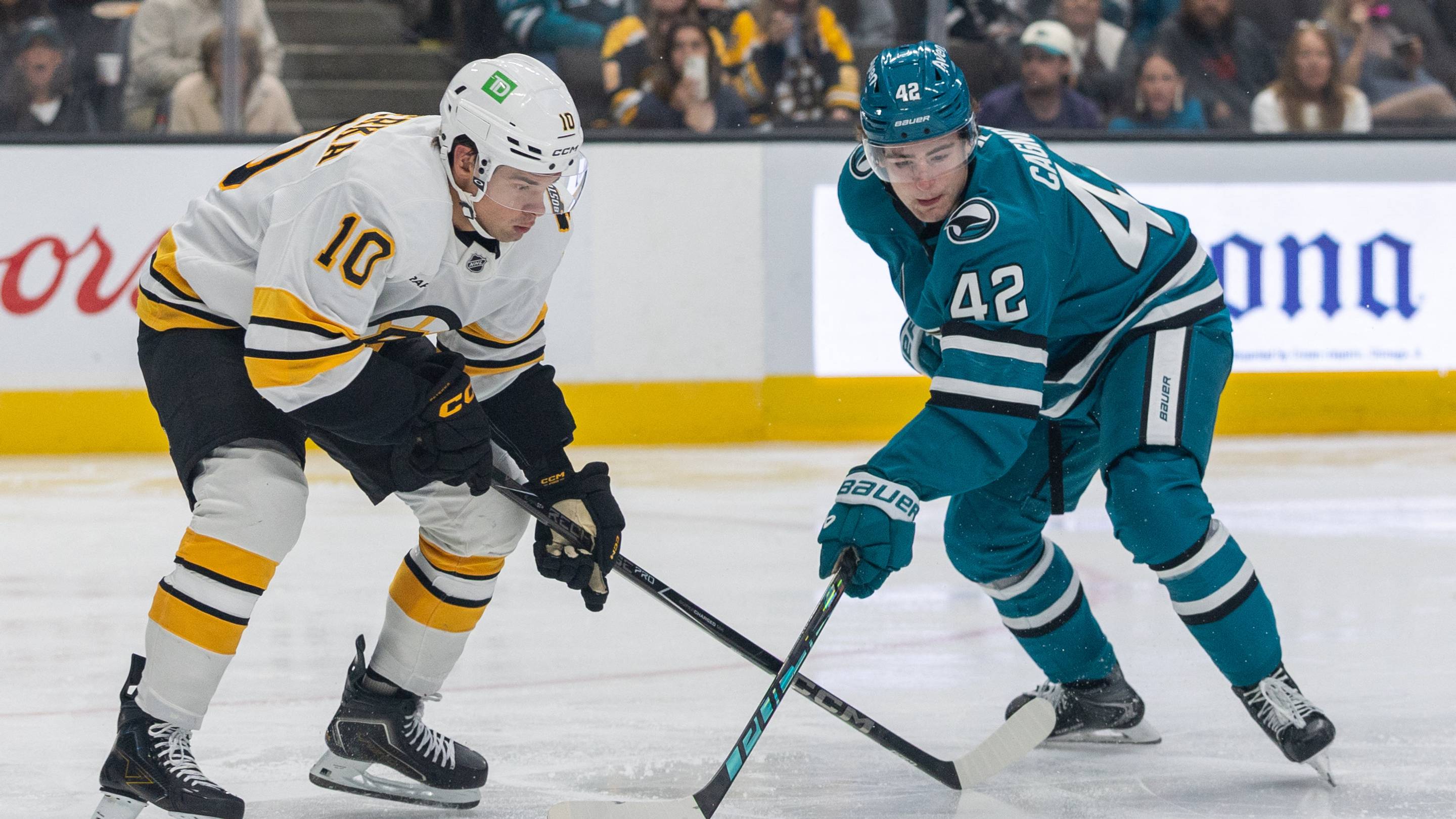 Sharks at Bruins Game Central: How to Watch, Lines, Injury Updates