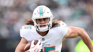 Miami Dolphins tight end Greg Dulcich