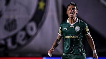 Santos v Palmeiras - Campeonato Paulista 2025