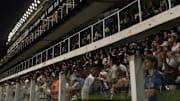 Atual estádio do Santos, Vila Viva Sorte