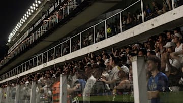 Atual estádio do Santos, Vila Viva Sorte