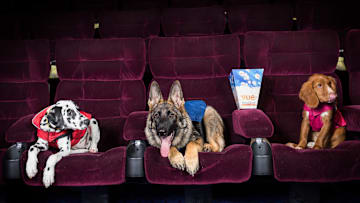 PAW Patrol: Big Screen Takeover Advanced Screening & Fun-In-The-Foyer Experience At Vue Piccadilly