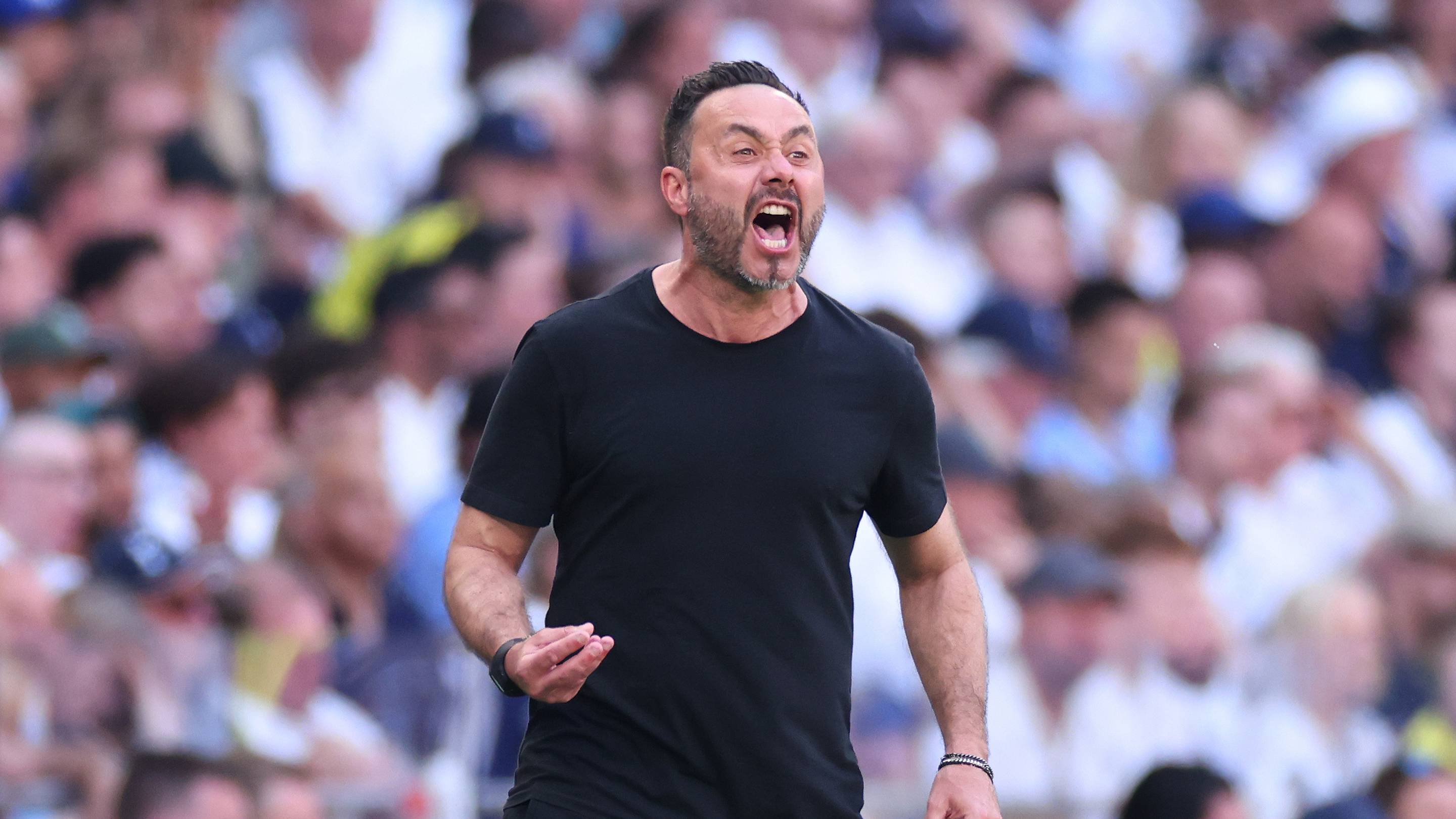 Tottenham just found a new bargain at £26m - but Roberto De Zerbi must resist
