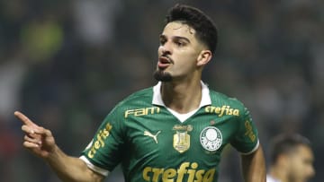 Palmeiras tentará se recuperar no Brasileirão diante de sua torcida
