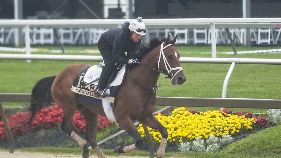 Journalism is the favorite to win at Pimlico Race Course.  | Gregory Fisher-Imagn Images
