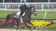 May 14, 2025; Baltimore, MD, USA; Preakness Stakes entry, Journalism breezes during morning workouts at Pimlico Race Course. Mandatory Credit: Gregory Fisher-Imagn Images