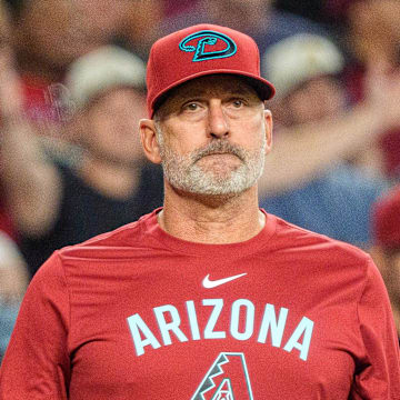 Sep 21, 2025; Phoenix, Arizona, USA; Arizona Diamondbacks manager Torey Lovullo (17) reacts after infielder Ketel Marte (not shown) was hit by a pitch in the sixth inning against the Philadelphia Phillies at Chase Field. Mandatory Credit: Allan Henry-Imagn Images