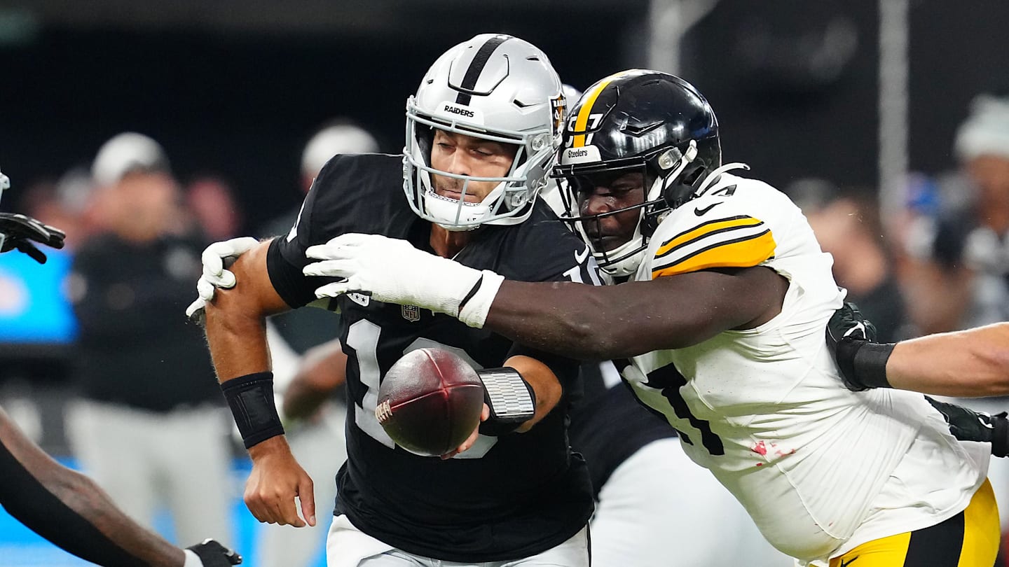 Pittsburgh Steelers Place Veteran DT on IR