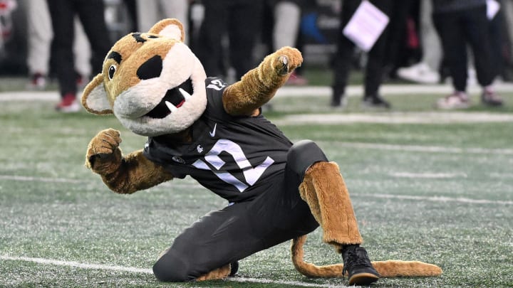 Nov 17, 2023; Pullman, Washington, USA; Washington State Cougars mascot, Butch, performs during a game against the Colorado Buffaloes in the second half at Gesa Field at Martin Stadium. Mandatory Credit: James Snook-USA TODAY Sports