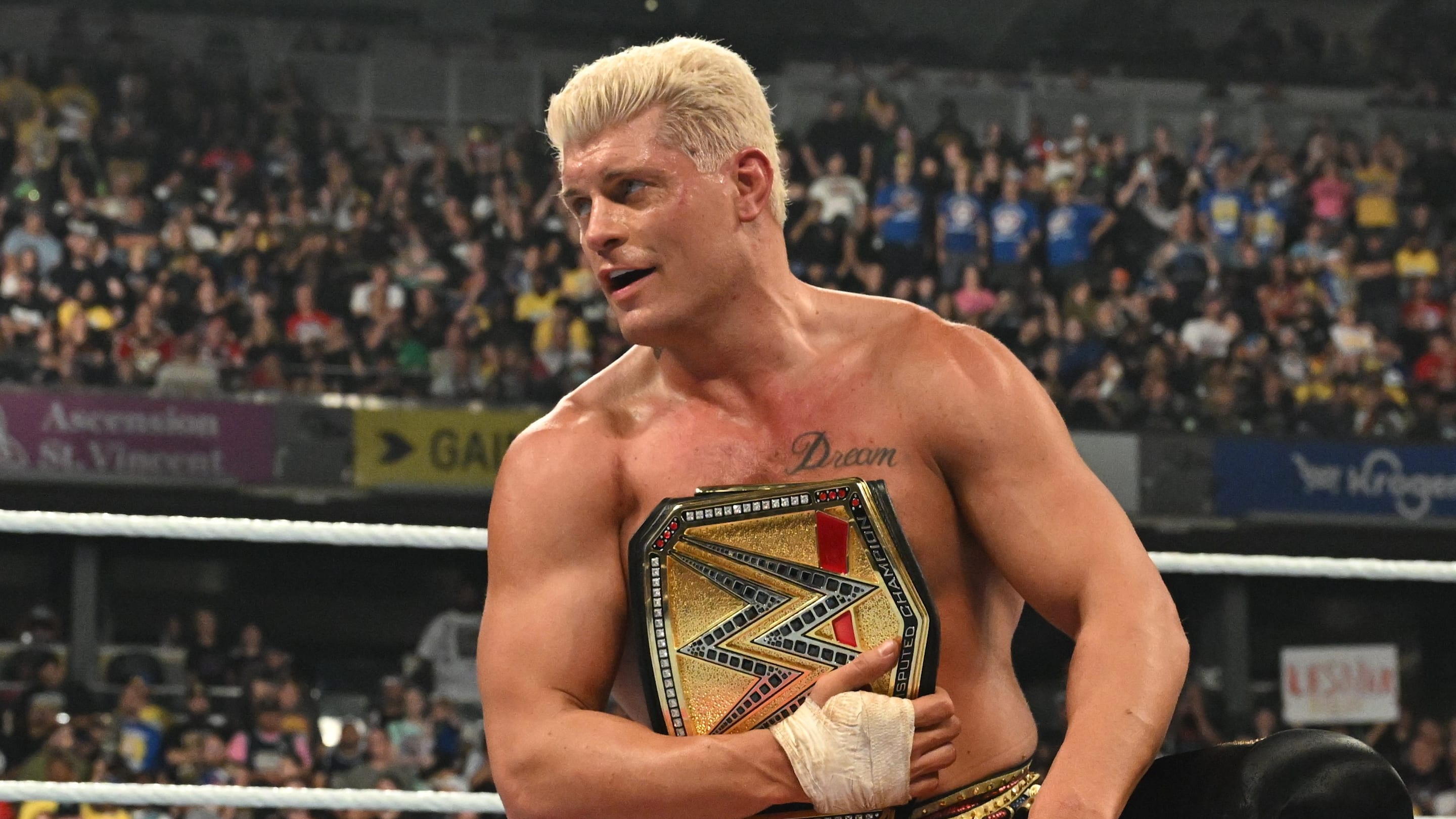 Cody Rhodes Defeats Randy Orton to Retain WWE Title in WrestleMania Night One Main Event