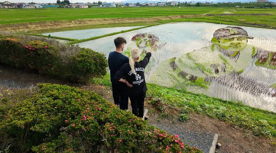 two people looking at a rice paddy in Japan.