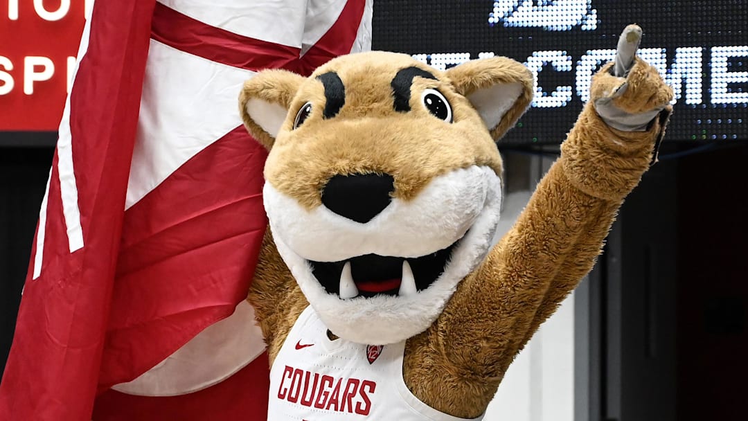 Jan 13, 2024; Pullman, Washington, USA; Washington State Cougars mascot looks on before a game against the Arizona Wildcats at Friel Court at Beasley Coliseum. Mandatory Credit: James Snook-Imagn Images