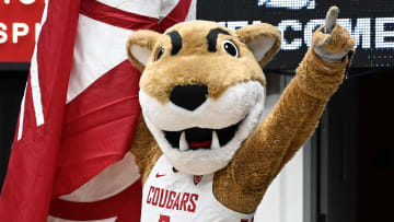 Jan 13, 2024; Pullman, Washington, USA; Washington State Cougars mascot looks on before a game against the Arizona Wildcats at Friel Court at Beasley Coliseum. Mandatory Credit: James Snook-USA TODAY Sports
