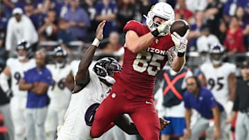 Baltimore Ravens v Arizona Cardinals