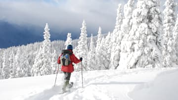 A snowshoer explores Olympic National Park’s Hurricane Ridge in winter.