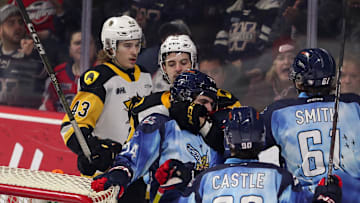 Hamilton Bulldogs v Windsor Spitfires