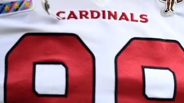 Arizona Cardinals v Cleveland Browns