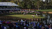 Players Championship drama peaks on the famed island-green 17th hole.