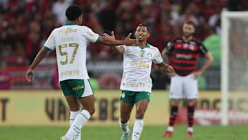 Flamengo v Palmeiras - Brasileirao 2024